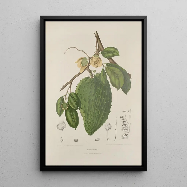 Reproduktion af maleriet af udvalgte blomster, frugter og blade fra Java-øen Pl39 - Berthe Hoola van Nooten