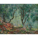 Reproduktion af maleriet Oliventræer i Moreno-haven - Claude Monet