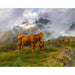 Reproduktion af maleriet Highland Cattle Maleri - Rosa Bonheur