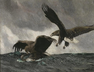 Aigles de mer - Bruno Liljefors — visning af kunstværket