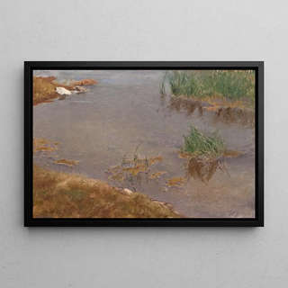 Bruno Liljefors - Shallow Water.webp