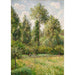Poppeltræer ved Éragny - Camille Pissarro — visning af kunstværket