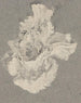 Azalée - Carel Adolph Lion Cachet — visning af kunstværket