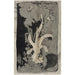 Reproduktion af maleriet Fleur orkidé 1874 1945 - Carel Adolph Lion Cachet