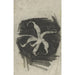 Reproduktion af maleriet Orchidée - Carel Adolph Lion Cachet