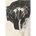 Studie af kaprifolium - Carel Adolph Lion Cachet — visning af kunstværket