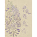 Reproduktion af maleriet Glycine - Carel Adolph Lion Cachet