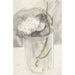 Reproduktion af maleriet Fleur blanche i et glas - Carel Adolph Lion Cachet