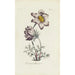 Anemone pulsatille - Carington Bowles — visning af kunstværket
