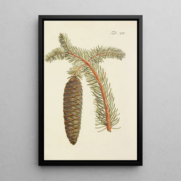 Illustration af vilde træer, flerårige planter og buske Pl014 - Carl Christoph Oelhafen von Schöllenbach — indrammet kunstværk på væggen
