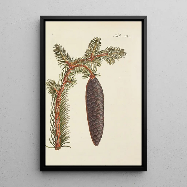 Illustration af vilde træer, flerårige planter og buske Pl015 - Carl Christoph Oelhafen von Schöllenbach — indrammet kunstværk på væggen