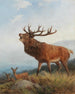 En rådyr brøler - Carl Friedrich Deiker — visning af kunstværket