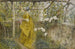 La Vigne - Carl Larsson — visning af kunstværket