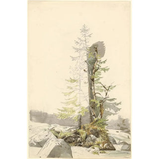Carl Morgenstern - A Clump of Trees by a Rocky Stream in the Ramsau.webp