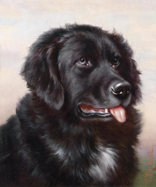 Carl Reichert - Neufundlnder.webp