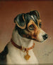Portræt af en Jack Russell Terrier - Carl Reichert — visning af kunstværket