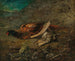 naturtro med fasan og rype - Carl Spitzweg — visning af kunstværket