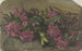 Rhododendrons - Cella Thoma — visning af kunstværket