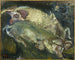 Grise - Chaïm Soutine — visning af kunstværket