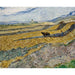 Reproduktion af maleriet Champ lukket med landmand - Vincent van Gogh