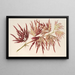 Acer polymorphum palmatum - Charles Antoine Lemaire — indrammet kunstværk på væggen
