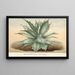 Agave Verschaffelti - Charles Antoine Lemaire — indrammet kunstværk på væggen
