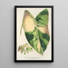Reproduktion af maleriet Alocasia macrorrhiza var foliis variegatis - Charles Antoine Lemaire