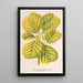 Reproduktion af maleriet Alnus glutinosa var aurea - Charles Antoine Lemaire