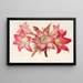 Amaryllis Belladonna - Charles Antoine Lemaire — indrammet kunstværk på væggen