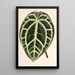 Reproduktion af maleriet Anthurium crystallinum - Charles Antoine Lemaire