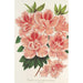 Azalea indica - Charles Antoine Lemaire — visning af kunstværket