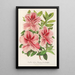 Reproduktion af maleriet Azalea indica hybrida Madame Verschaffelt - Charles Antoine Lemaire