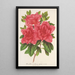 Azalea indica hybrida Madame Wagner - Charles Antoine Lemaire — indrammet kunstværk på væggen