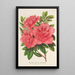 Azalea indica hybrida William Bull - Charles Antoine Lemaire — indrammet kunstværk på væggen