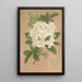 Reproduktion af maleriet Azalea sinensis var Albiflora - Charles Antoine Lemaire