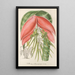 Reproduktion af maleriet Billbergia Baraquiniana - Charles Antoine Lemaire