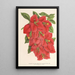 Bougainvillea spectabilis - Charles Antoine Lemaire — indrammet kunstværk på væggen
