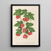 Reproduktion af maleriet Bryonopsis laciniata var erythrocarpa - Charles Antoine Lemaire