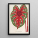 Reproduktion af maleriet Caladium Duc Adolphe de Nassau - Charles Antoine Lemaire