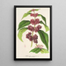 Reproduktion af maleriet Callicarpa purpurea - Charles Antoine Lemaire