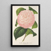 Reproduktion af maleriet Camellia Archiduc Étienne - Charles Antoine Lemaire