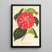 Reproduktion af maleriet Camellia Cariotta Peloso hybrid - Charles Antoine Lemaire
