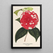 Camellia Giardino Santarelli - Charles Antoine Lemaire — indrammet kunstværk på væggen