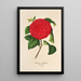 Reproduktion af maleriet Camellia Il Giogello - Charles Antoine Lemaire
