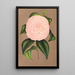 Reproduktion af maleriet Camellia Mistress Dombrain - Charles Antoine Lemaire