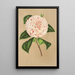 Reproduktion af maleriet Camellia Principessa Clotilde - Charles Antoine Lemaire