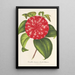 Reproduktion af maleriet af Camellia Souvenir d'Émile Defresne - Charles Antoine Lemaire | Maleri