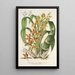 Reproduktion af maleriet Catasetum trimerochilum - Charles Antoine Lemaire