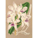 Cattleya amethystoglossa - Charles Antoine Lemaire — visning af kunstværket
