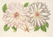 Clematis patens - Charles Antoine Lemaire — visning af kunstværket